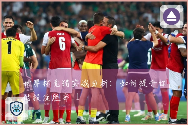 世界杯竞猜实战分析：如何提升你的投注胜率_1