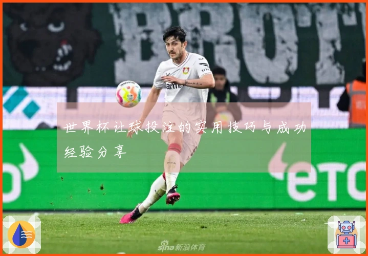 世界杯让球投注的实用技巧与成功经验分享