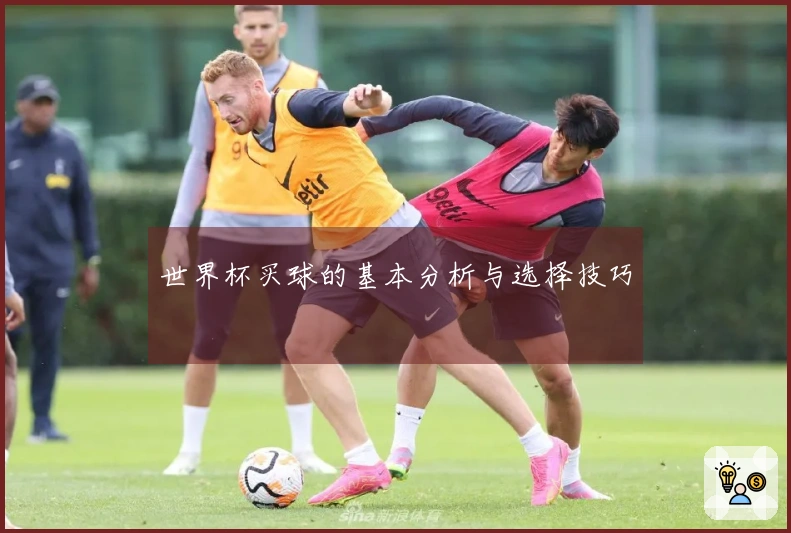 世界杯买球的基本分析与选择技巧