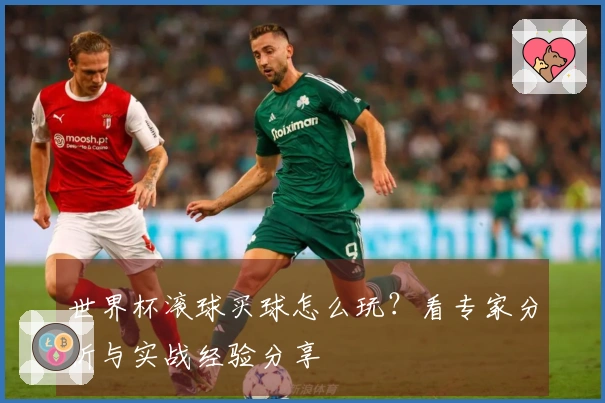 世界杯滚球买球怎么玩？看专家分析与实战经验分享