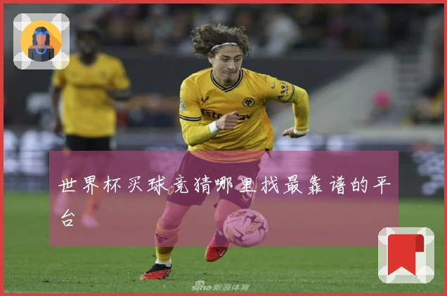 世界杯买球竞猜哪里找最靠谱的平台