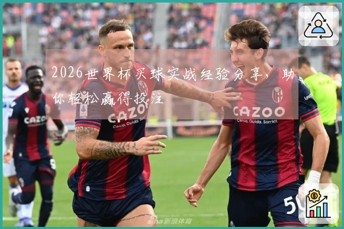 2026世界杯买球实战经验分享，助你轻松赢得投注