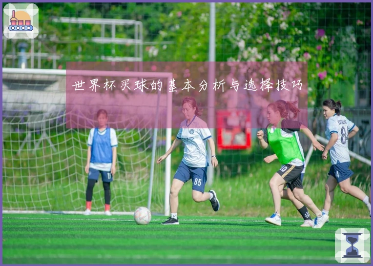 世界杯买球的基本分析与选择技巧
