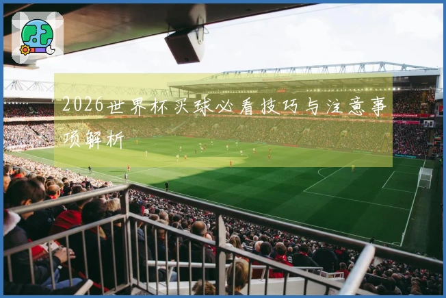 2026世界杯买球必看技巧与注意事项解析