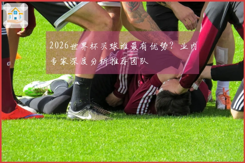 2026世界杯买球谁最有优势？业内专家深度分析推荐团队