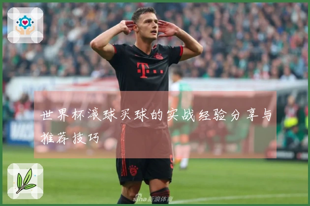世界杯滚球买球的实战经验分享与推荐技巧