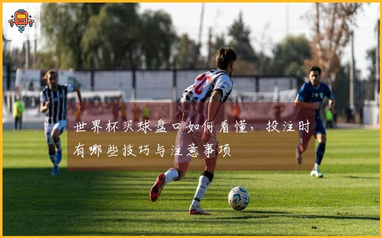世界杯买球盘口如何看懂，投注时有哪些技巧与注意事项