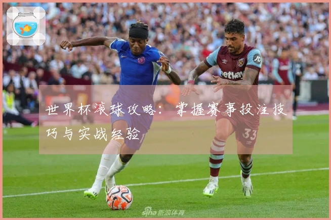 世界杯滚球攻略：掌握赛事投注技巧与实战经验