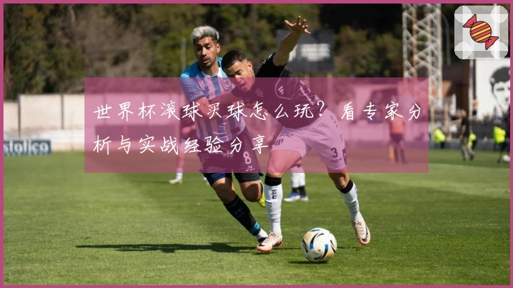 世界杯滚球买球怎么玩？看专家分析与实战经验分享