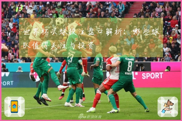 世界杯买球投注盘口解析：哪些球队值得关注与投资
