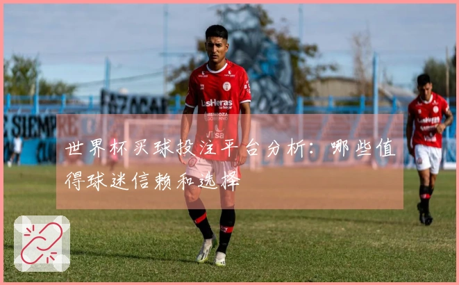 世界杯买球投注平台分析：哪些值得球迷信赖和选择